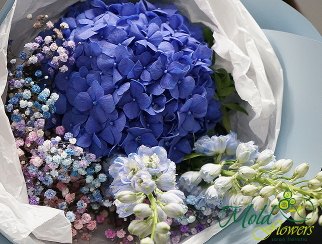 Buchet cu hortensie albastra si gypsophila color foto